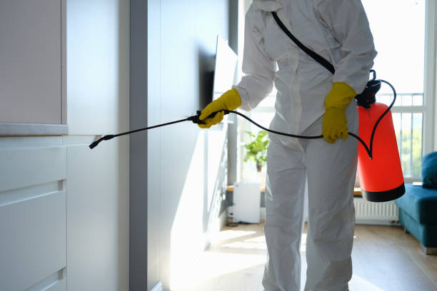 Trusted Dobbs Ferry, NY Mold Removal Experts