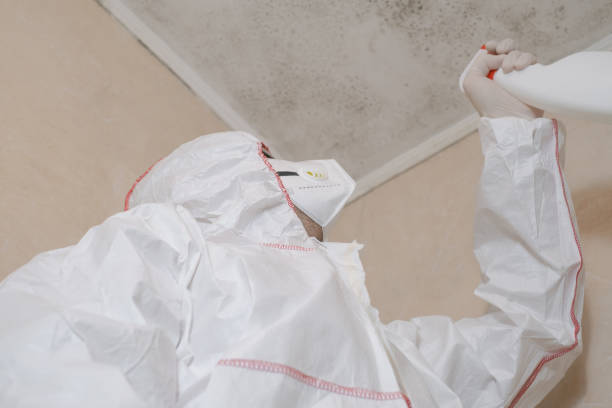 Water Damage Restoration in Dobbs Ferry, NY